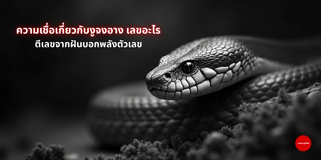 ฝันเห็นงูจงอางตัวใหญ่ชูคอ